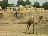 Jaisalmer
