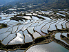 Yuanyang