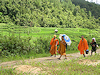 Xishuangbanna