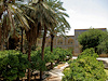 Shiraz