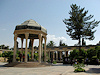 Shiraz