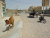 Qeshm