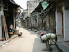 Yangshuo