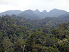 Bukit Lambir