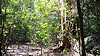 Khao Yai