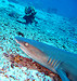 Sipadan
