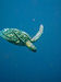 Sipadan