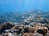 Sipadan