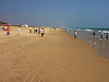 Konark