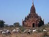 Bagan