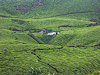 Munnar