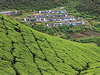 Munnar