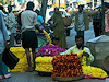 Mysore