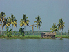 Kottayam