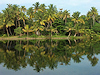 Alappuzha