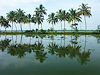 Kollam