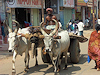 Madurai