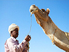 Jaisalmer