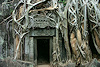 Angkor