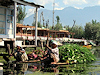 Srinagar