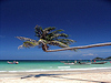 Koh Tao