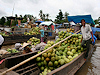 Delta Mekongu