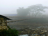 Sapa