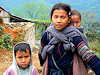 Sapa