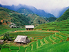 Sapa