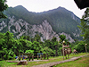 Mulu