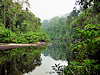 Taman Negara