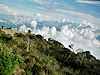 Kinabalu
