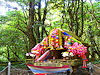 Doi Inthanon