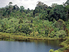 Khao Yai