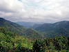 Khao Yai