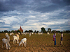 Bagan