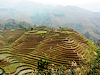 Longji