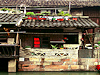 Wuzhen