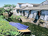 Tongli